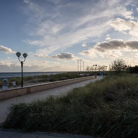 Nautilus Weitblick グレーミッツ